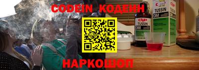 индика Можга
