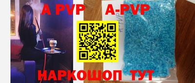 индика Можга