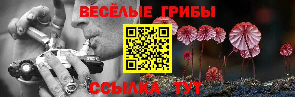 Галлюциногенные грибы прущие грибы  Вход с VPN  Ступино 